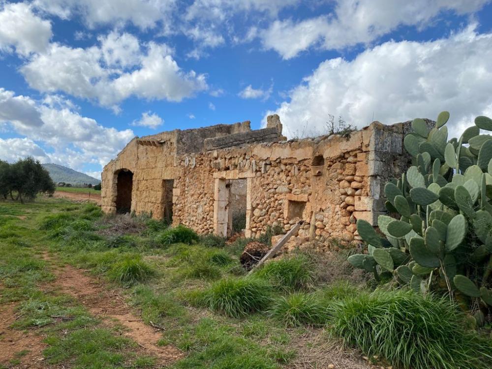  kaufen Landhaus Sa Pobla Nord 10