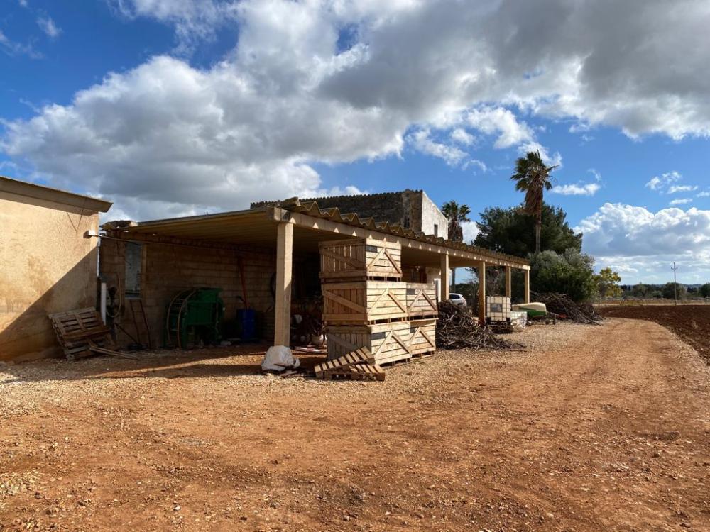  kaufen Landhaus Sa Pobla Nord 12