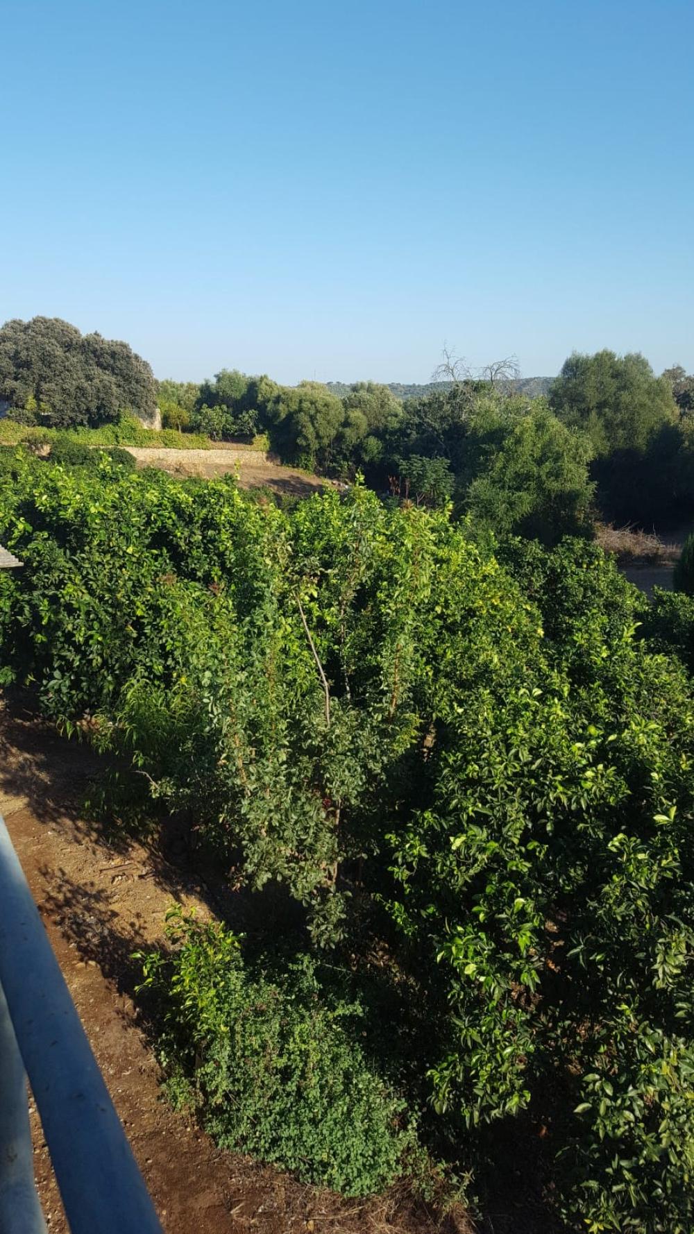  kaufen Villa Hornachuelos Valle Medio Del Guadalquivir 9