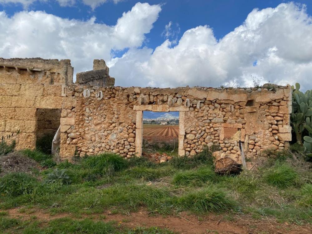  kaufen Landhaus Sa Pobla Nord 11