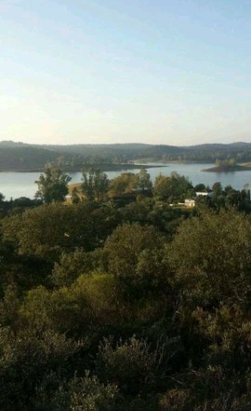  kaufen Villa Campoamor Urb. Sierra Norte 4