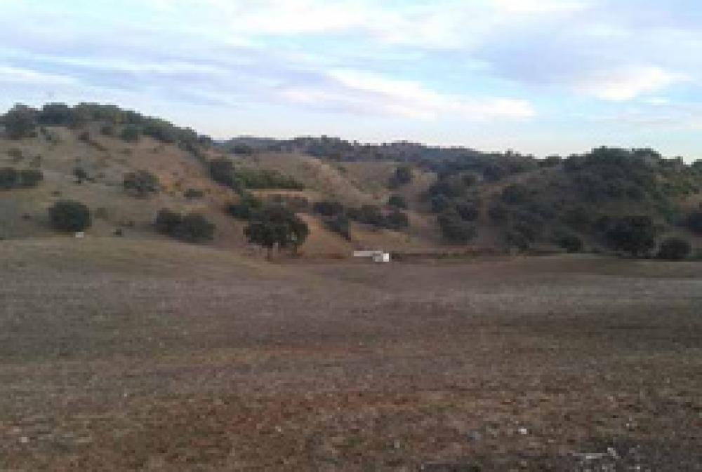  kaufen Landhaus Coripe Campiña De Morón Y Marchena 1