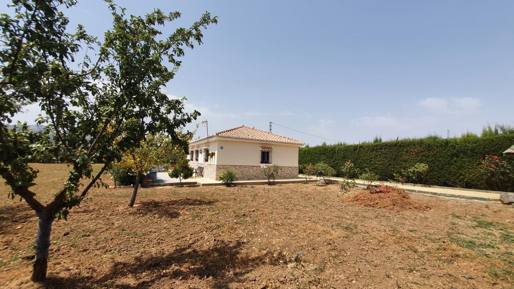  kaufen Haus Villanueva Del Rosario Nororma 14
