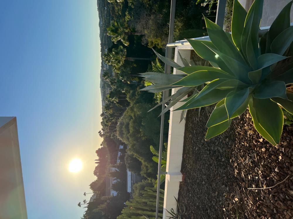  kaufen Villa Sotogrande Campo De Gibraltar 45