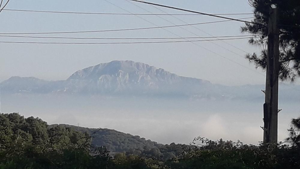  kaufen Grundstück El Cuartón Campo De Gibraltar 1