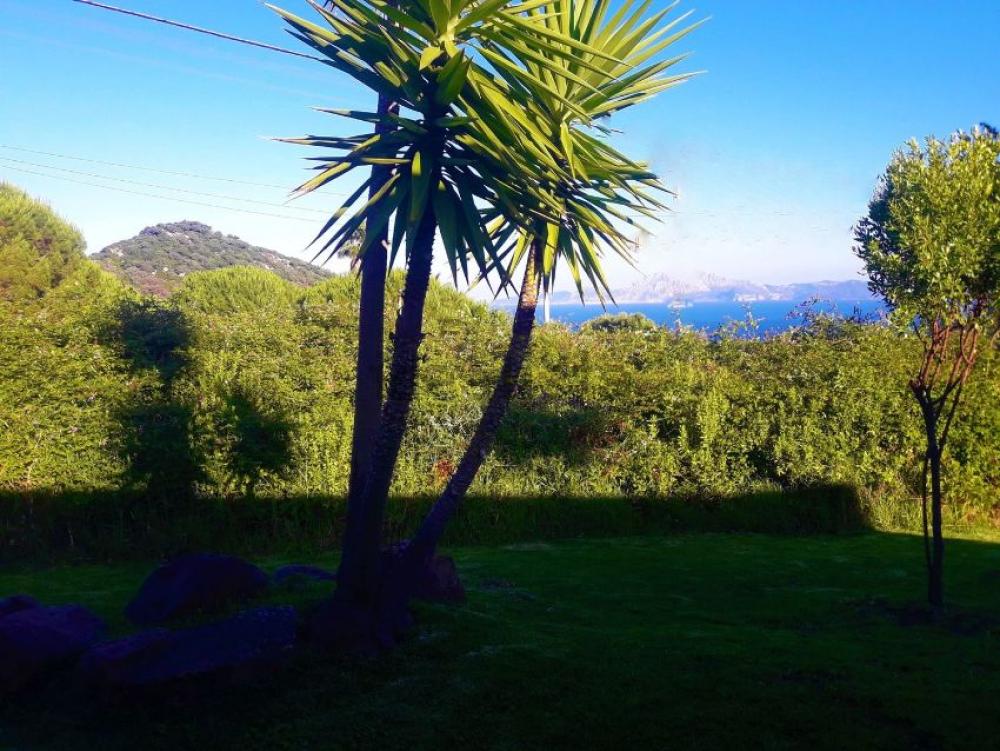  kaufen Grundstück El Cuartón Campo De Gibraltar 4