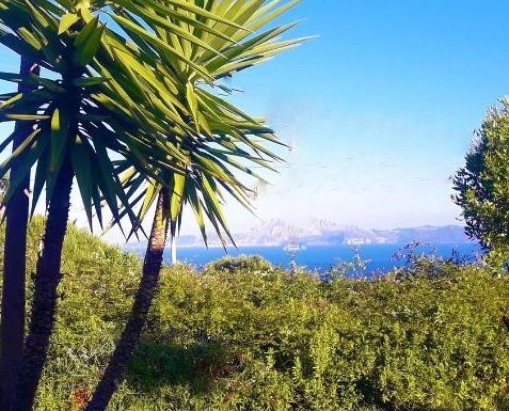  kaufen Grundstück El Cuartón Campo De Gibraltar 2