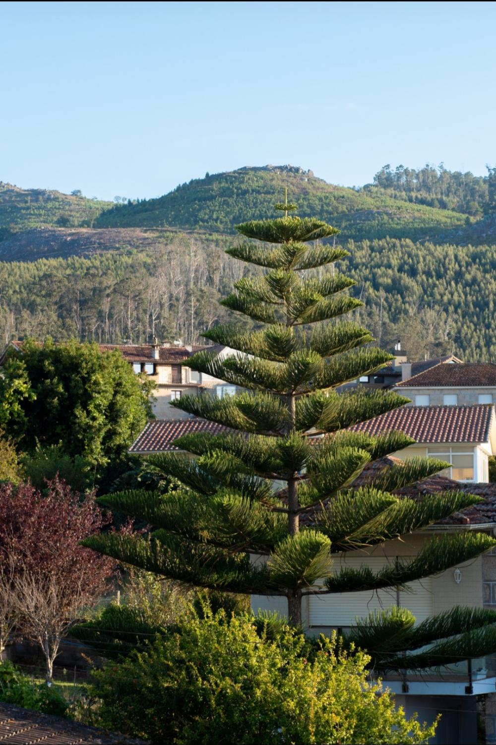  kaufen Villa Coruxo Vigo 9
