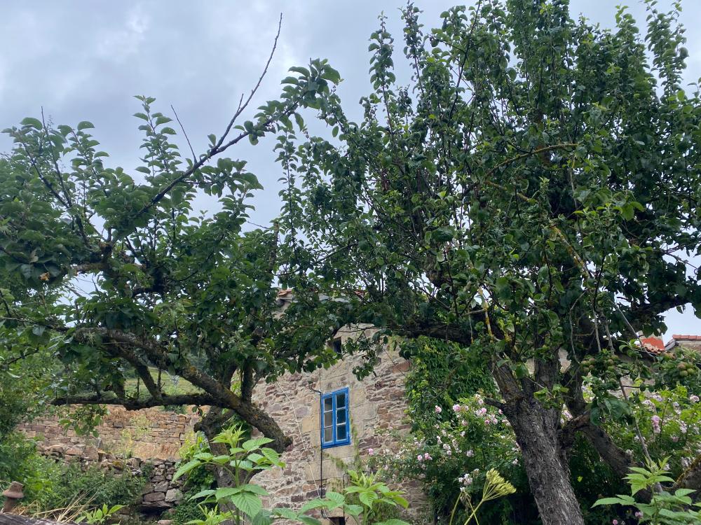  kaufen Haus Rebolledo Campoo-Los Valles 22