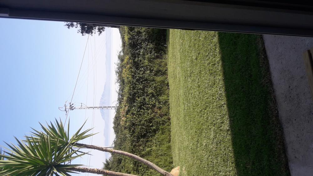  kaufen Grundstück El Cuartón Campo De Gibraltar 6