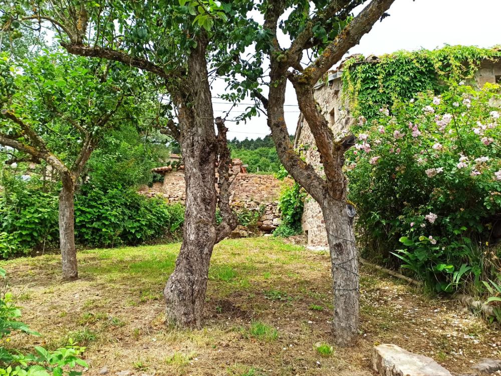  kaufen Haus Rebolledo Campoo-Los Valles 1