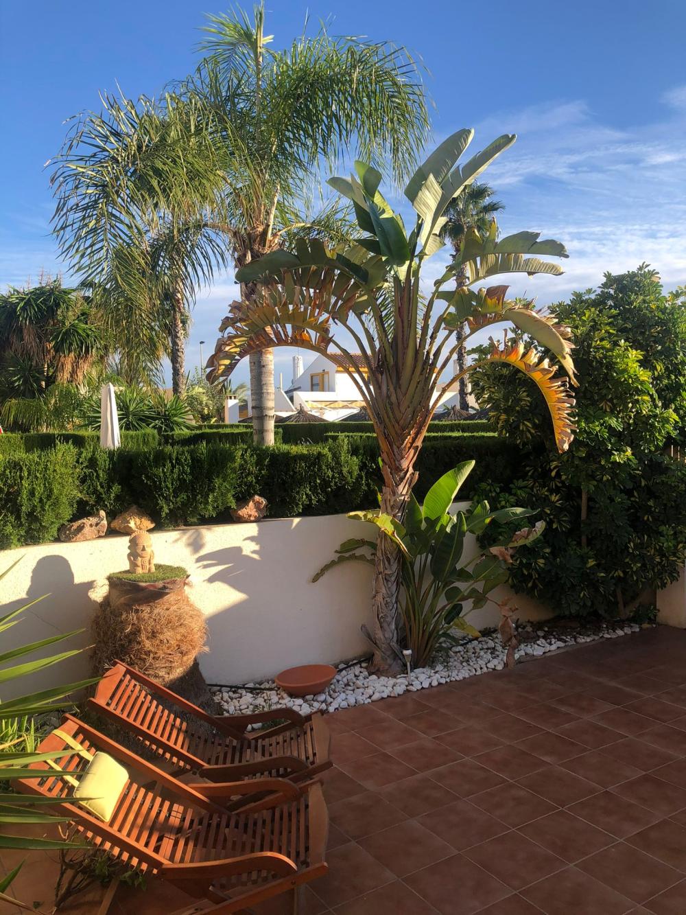  kaufen Maisonette Torre De La Horadada Baix Segura 5