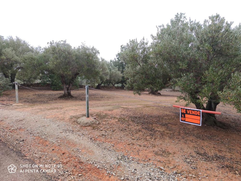  kaufen Landhaus Camarles Baix Ebre 2