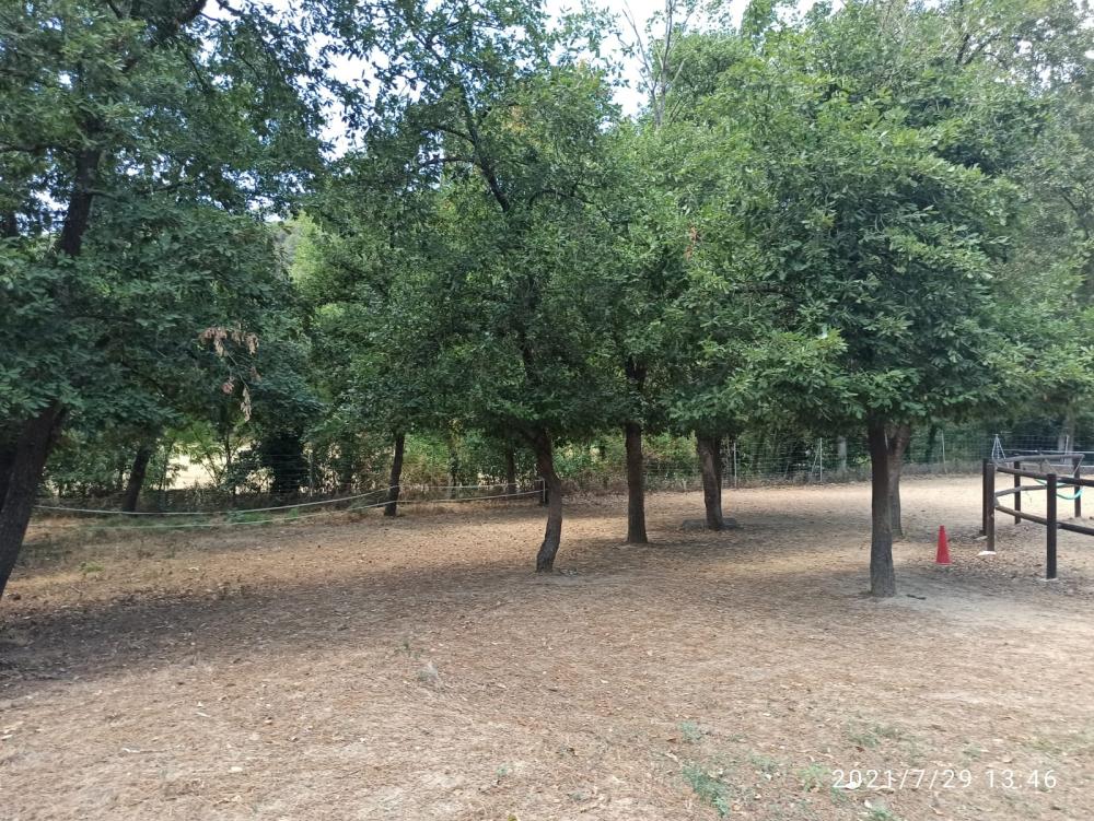  kaufen Landhaus Folgars De La Selva Maresme 2