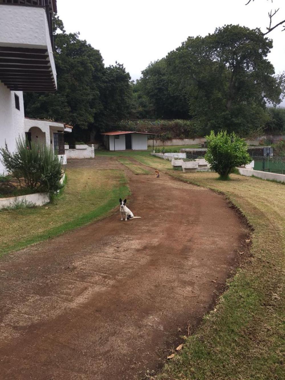  kaufen Villa La Matanza De Acentejo Zona Norte 7