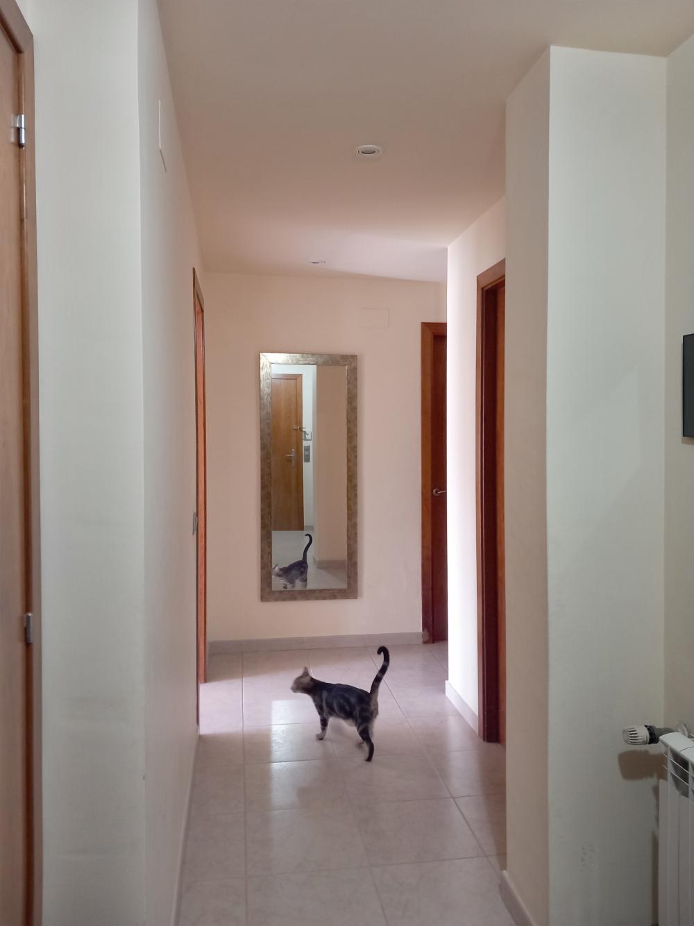  kaufen Maisonette Canet De Mar Maresme 3