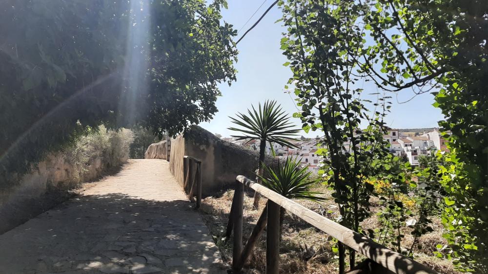  kaufen Haus Arriate Serranía De Ronda 15
