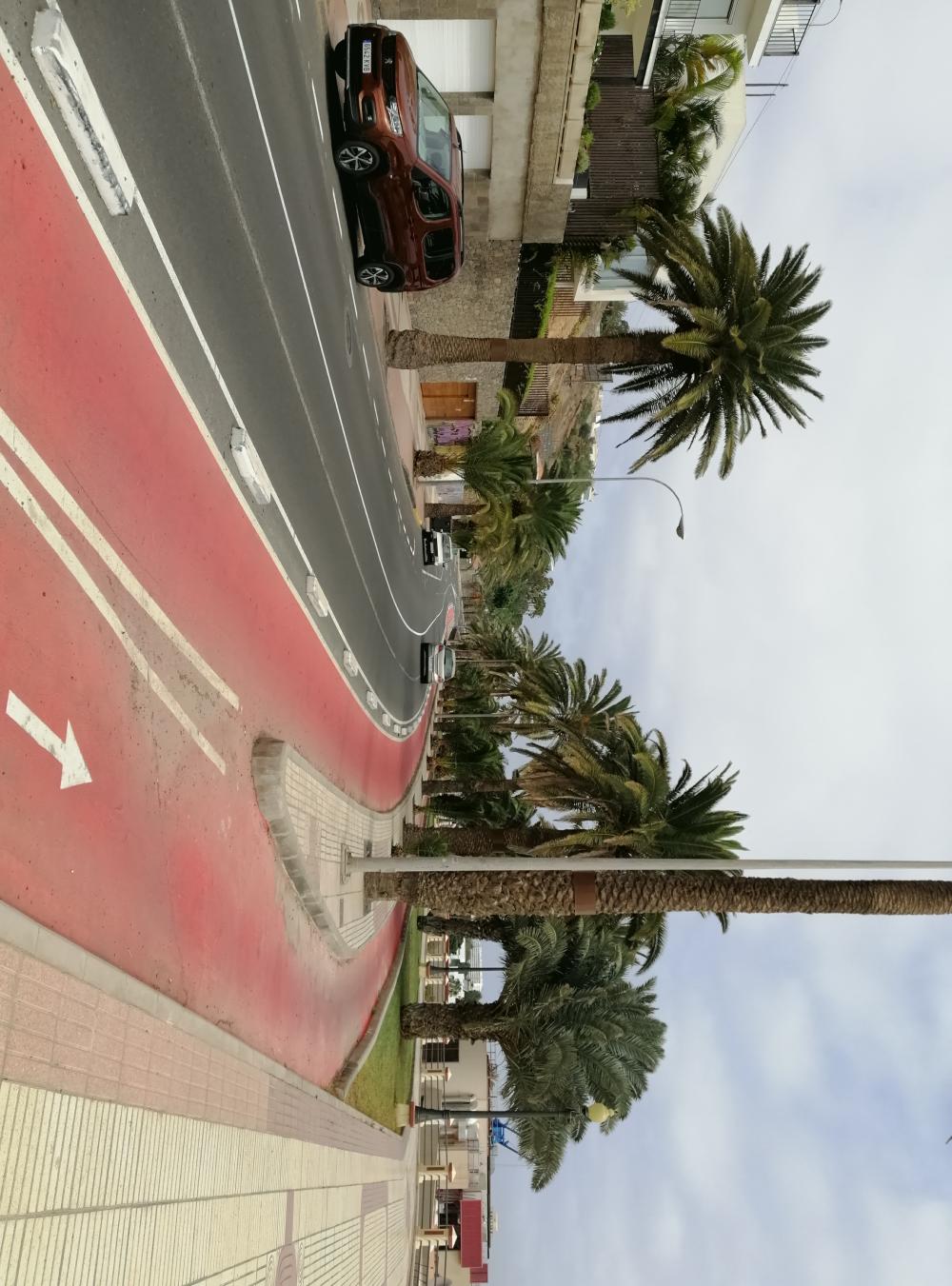  kaufen Wohnung Ciudad Alta Palmas De Gran Canaria (Las) 11