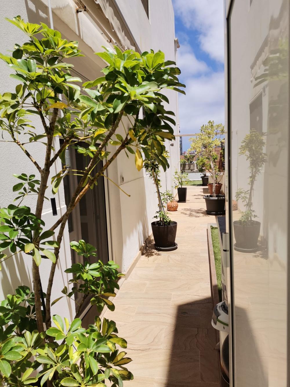  kaufen Wohnung Ciudad Alta Palmas De Gran Canaria (Las) 2