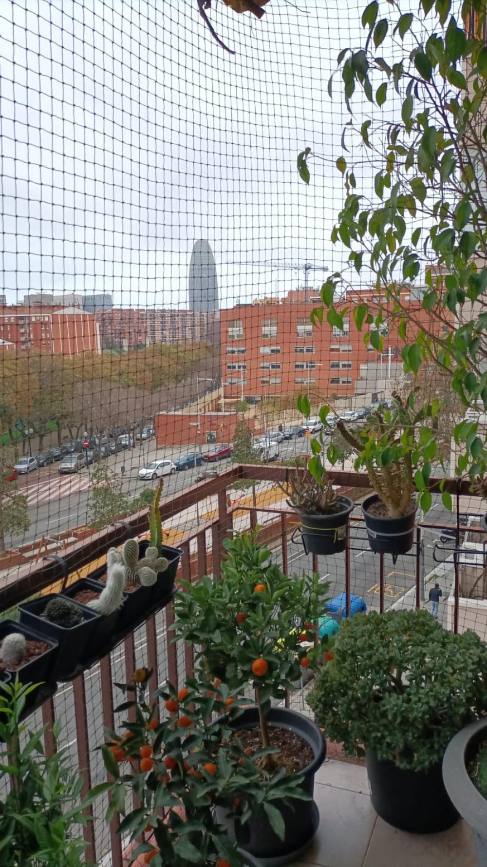  kaufen Wohnung Sant Martí-El Clot Barcelonès 5
