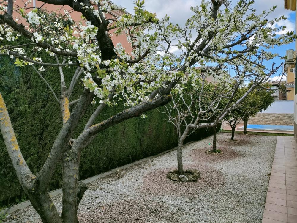  kaufen Haus Belicena Vega De Granada 33