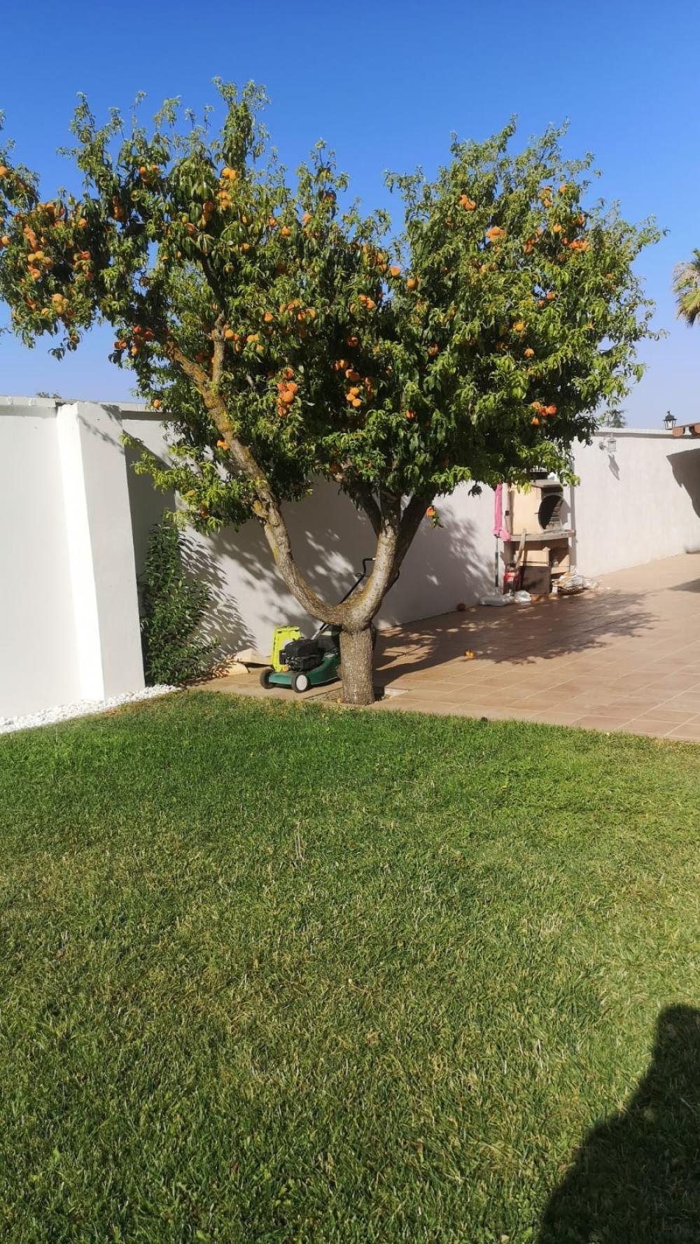  kaufen Haus Belicena Vega De Granada 31
