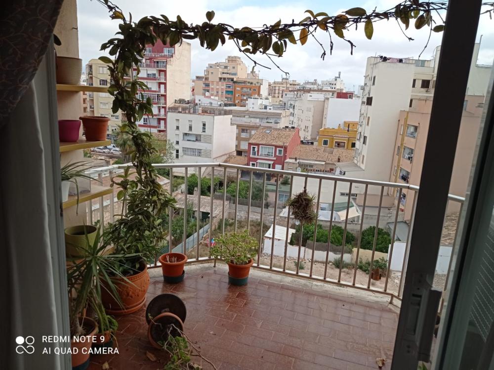  kaufen Wohnung Plaza De Toros Palma 1