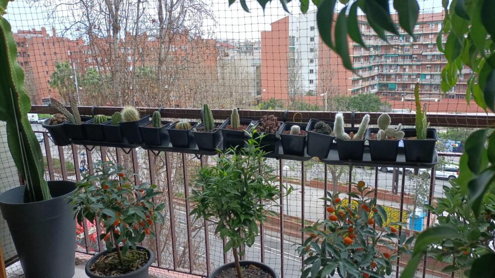  kaufen Wohnung Sant Martí-El Clot Barcelonès 4