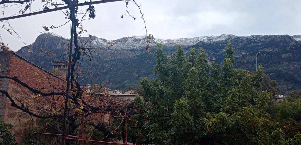  kaufen Haus Sóller Tramuntana 4