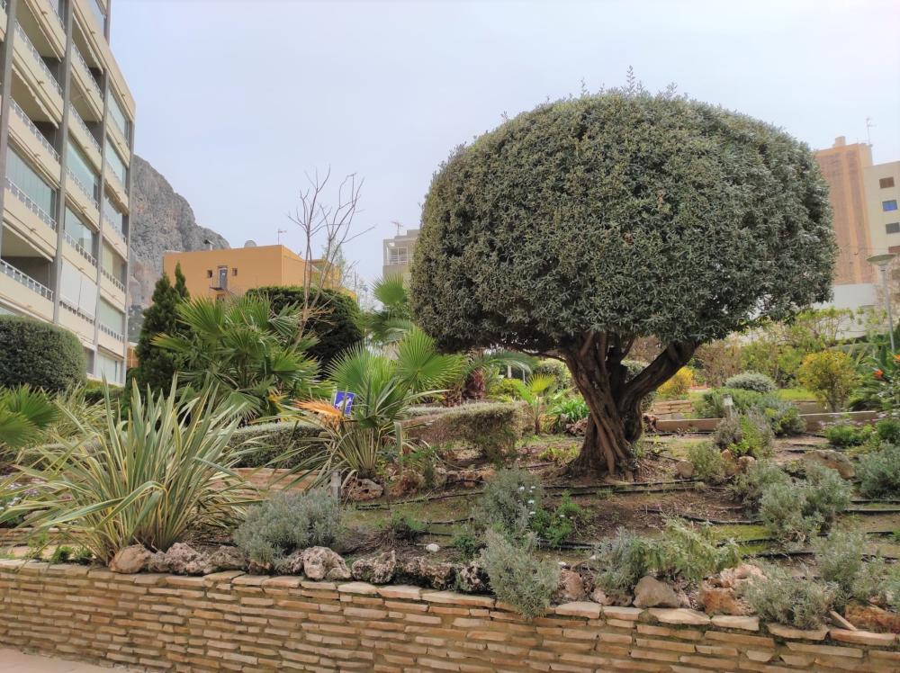  kaufen Wohnung Calpe Marina Alta 32