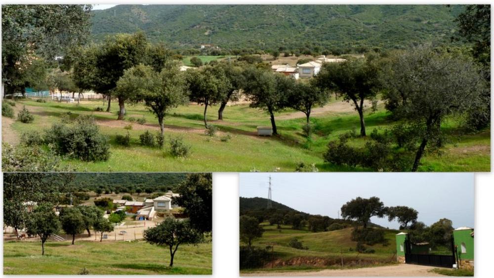  kaufen Landhaus Espiel Valle Del Guadiato 7