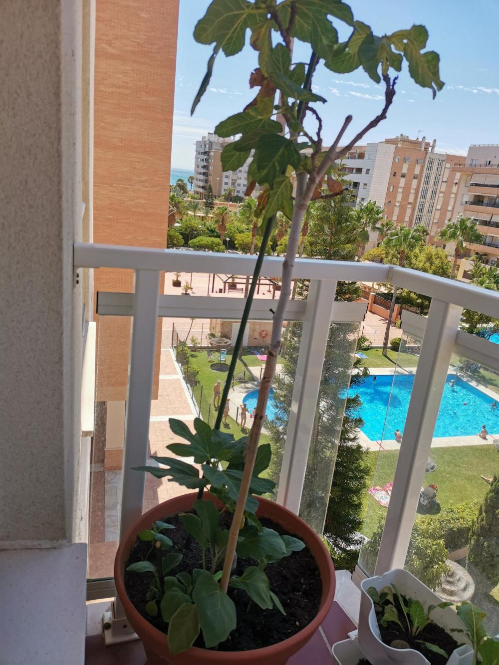  kaufen Wohnung Carretera De Málaga Málaga-Costa Del Sol 18