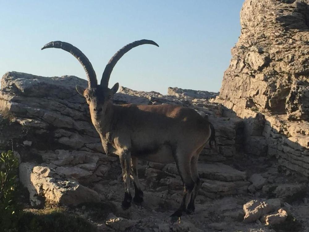  kaufen Haus Els Reguers Baix Ebre 8