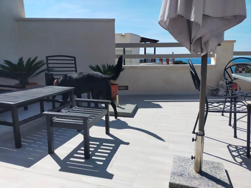  kaufen Villa Isla Plana Campo De Cartagena 9