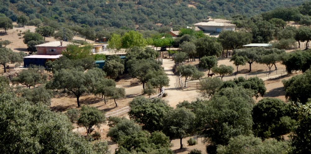  kaufen Landhaus Espiel Valle Del Guadiato 4