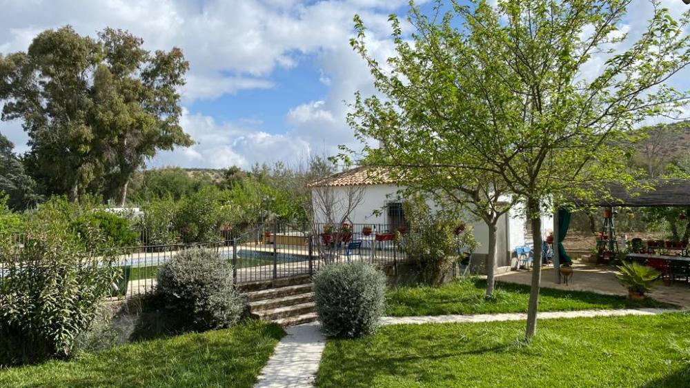  kaufen Villa Baena Campiña De Baena 13
