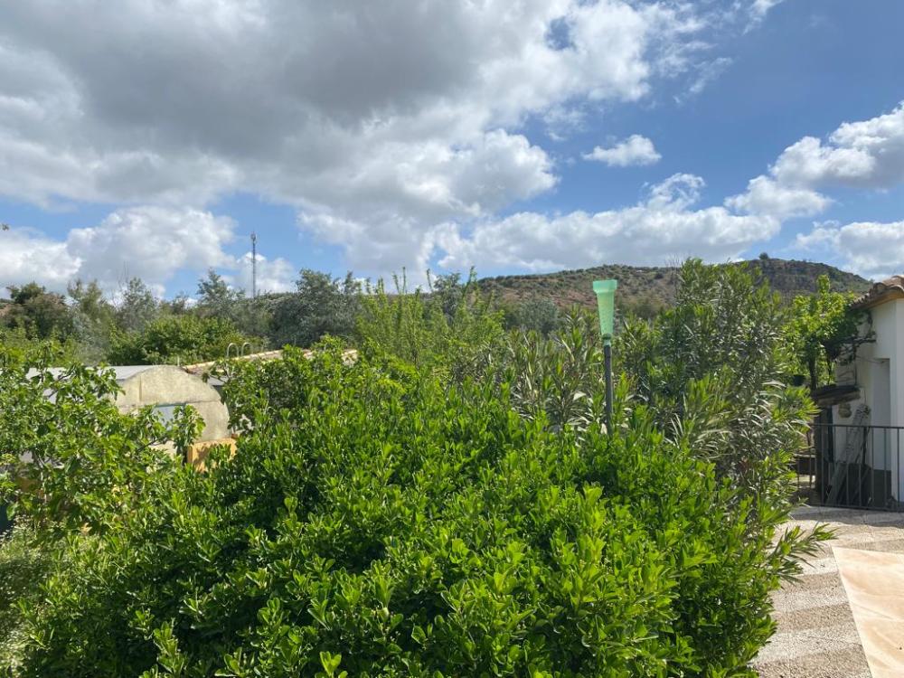  kaufen Villa Baena Campiña De Baena 38