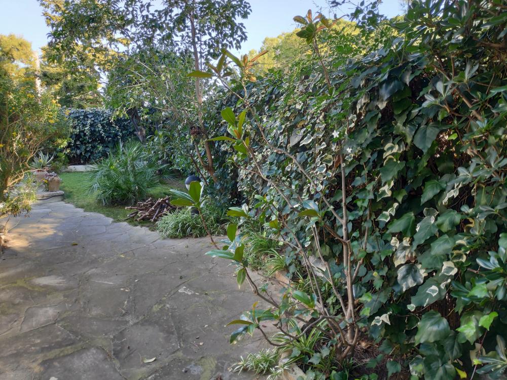  kaufen Villa Barri Maritim De Comarruga Baix Penedès 16