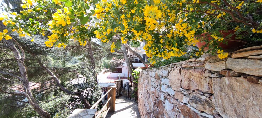  kaufen Haus Begur Baix Empordà 5