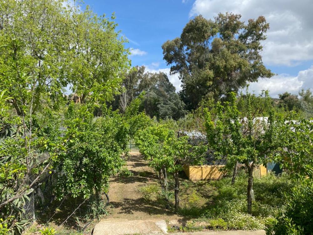  kaufen Villa Baena Campiña De Baena 39