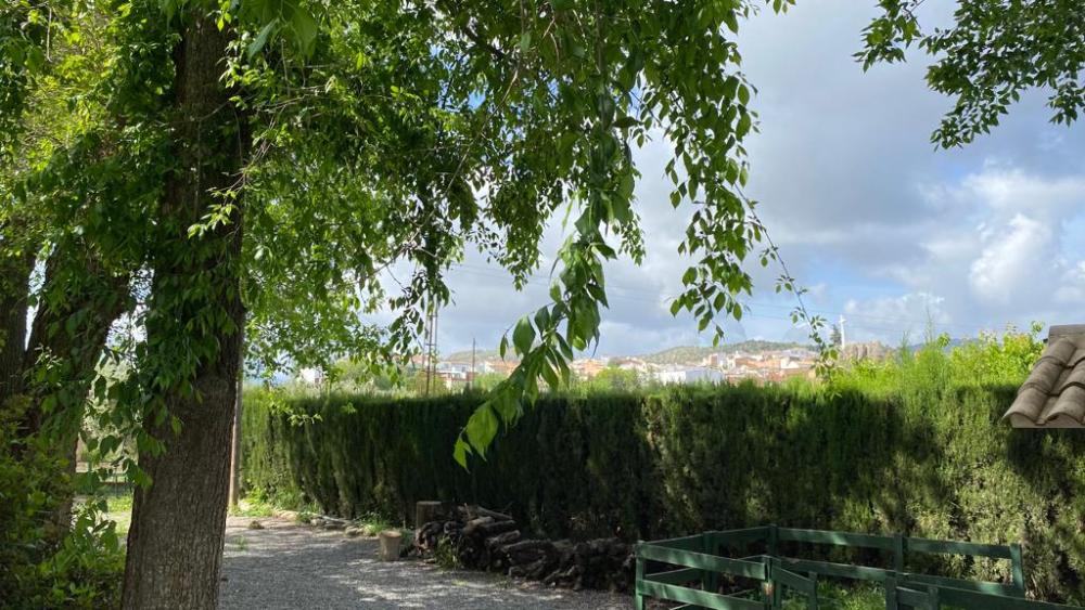  kaufen Villa Baena Campiña De Baena 14