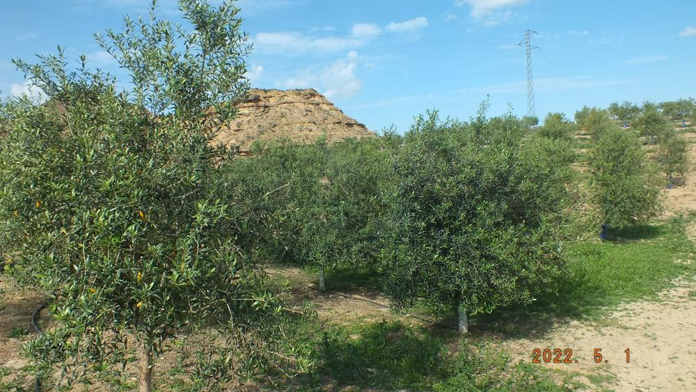 kaufen Landhaus Aitona Segrià 20