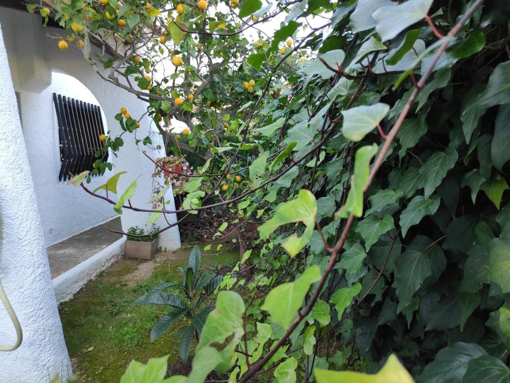  kaufen Villa Barri Maritim De Comarruga Baix Penedès 17