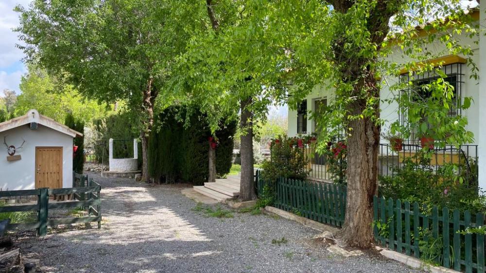  kaufen Villa Baena Campiña De Baena 7