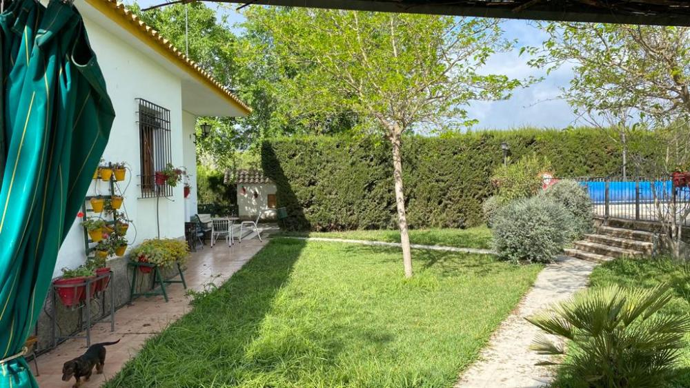  kaufen Villa Baena Campiña De Baena 11