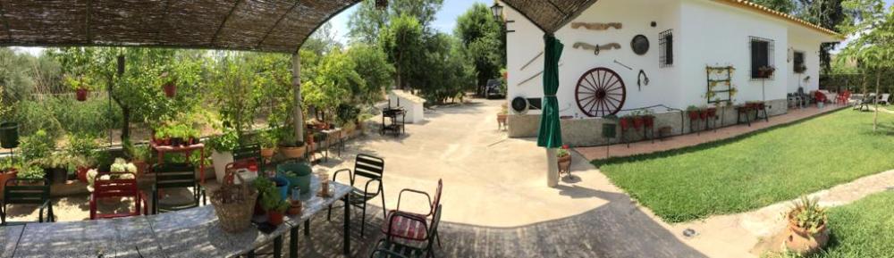  kaufen Villa Baena Campiña De Baena 2