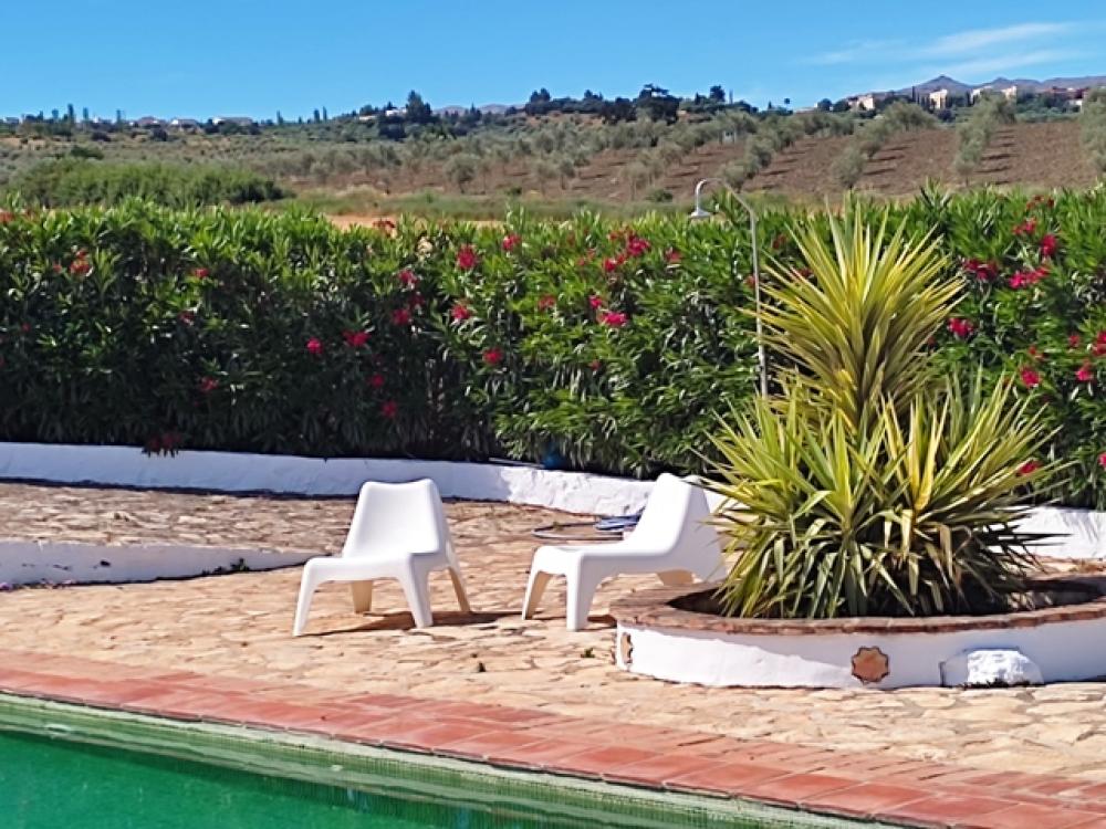  kaufen Hotel Ronda Serranía De Ronda 26
