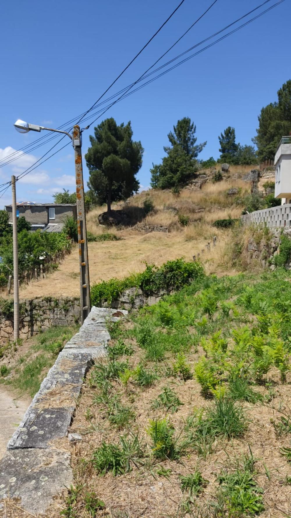  kaufen Grundstück Santa Mariña Do Monte Ourense 2
