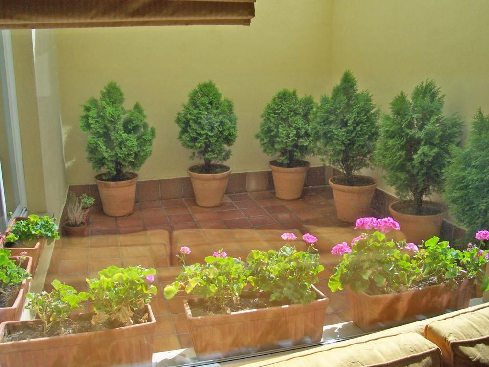  kaufen Haus Salamanca Centro 37001 Campo De Salamanca 25