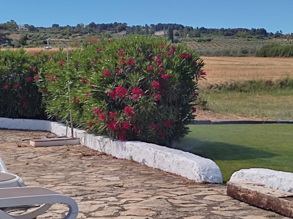  kaufen Hotel Ronda Serranía De Ronda 33